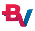 logo-bv-financeira-2048